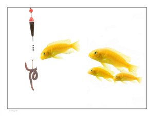 付费墙全流程拆解：每一步都讲清楚